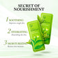 Matcha Sleeping Mask 3g (15pcs)